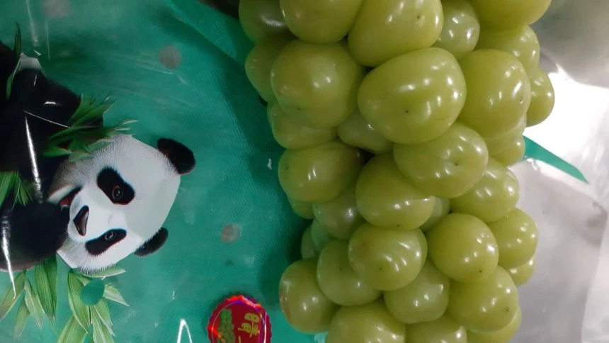 🍇 Ввоз винограда из Китая через Забайкальск вырос на 16% в 2026 году

С начала года в Россию достав
