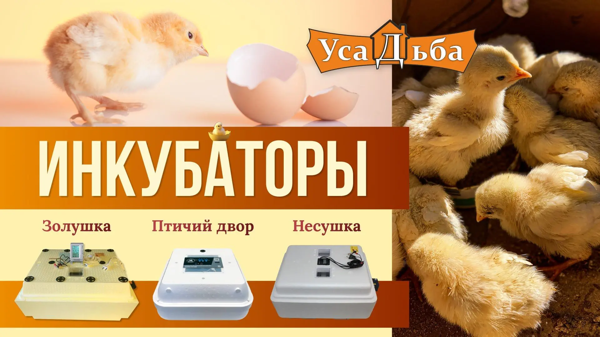 В «Усадьбе» есть инкубаторы под любые планы: от компактных моделей для первого опыта до вместительны