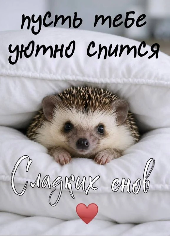 🌸Красивые открытки
