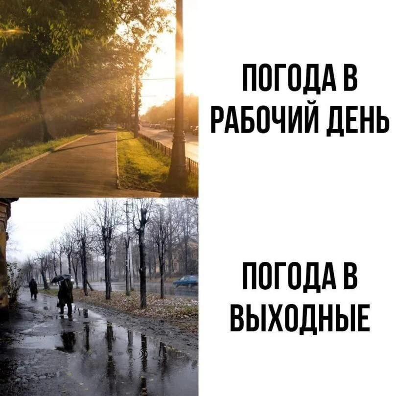 Мем дня