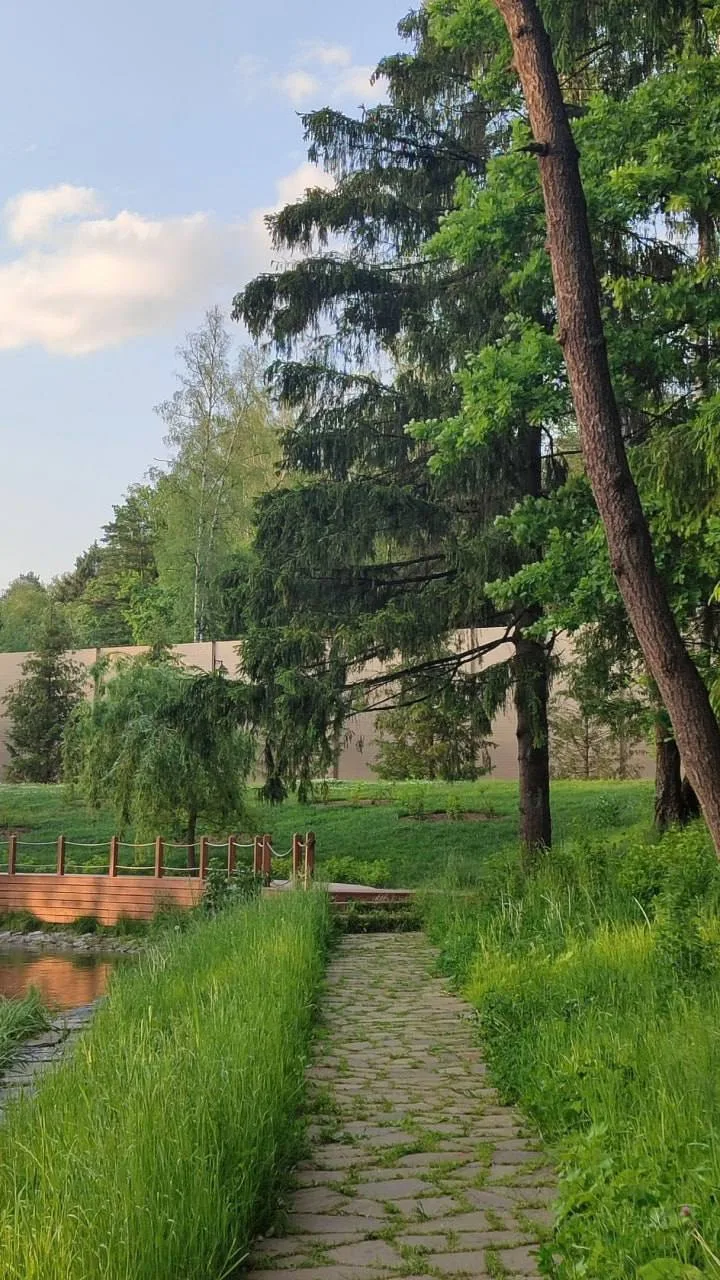 #гуляемпоМоскве  🌿 Лесопарк «Ближняя Дача» — уютный уголок природы в Подмосковье  Это место отлично 