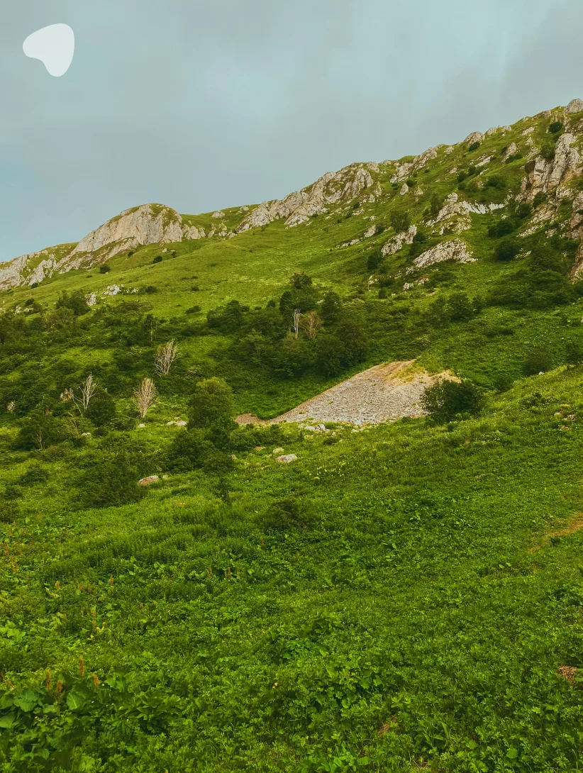 Плато Лаго-Наки на Западном Кавказе 🏔

Главное о локации:

Где находится: Майкопский район Адыгеи и