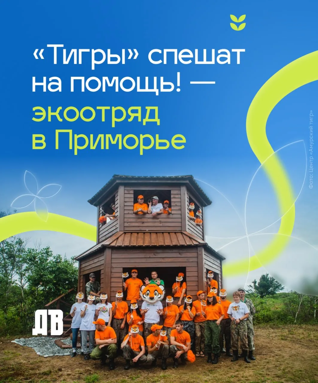 Около 750 амурских тигров живут на Дальнем Востоке — благодаря усилиям российских специалистов попул