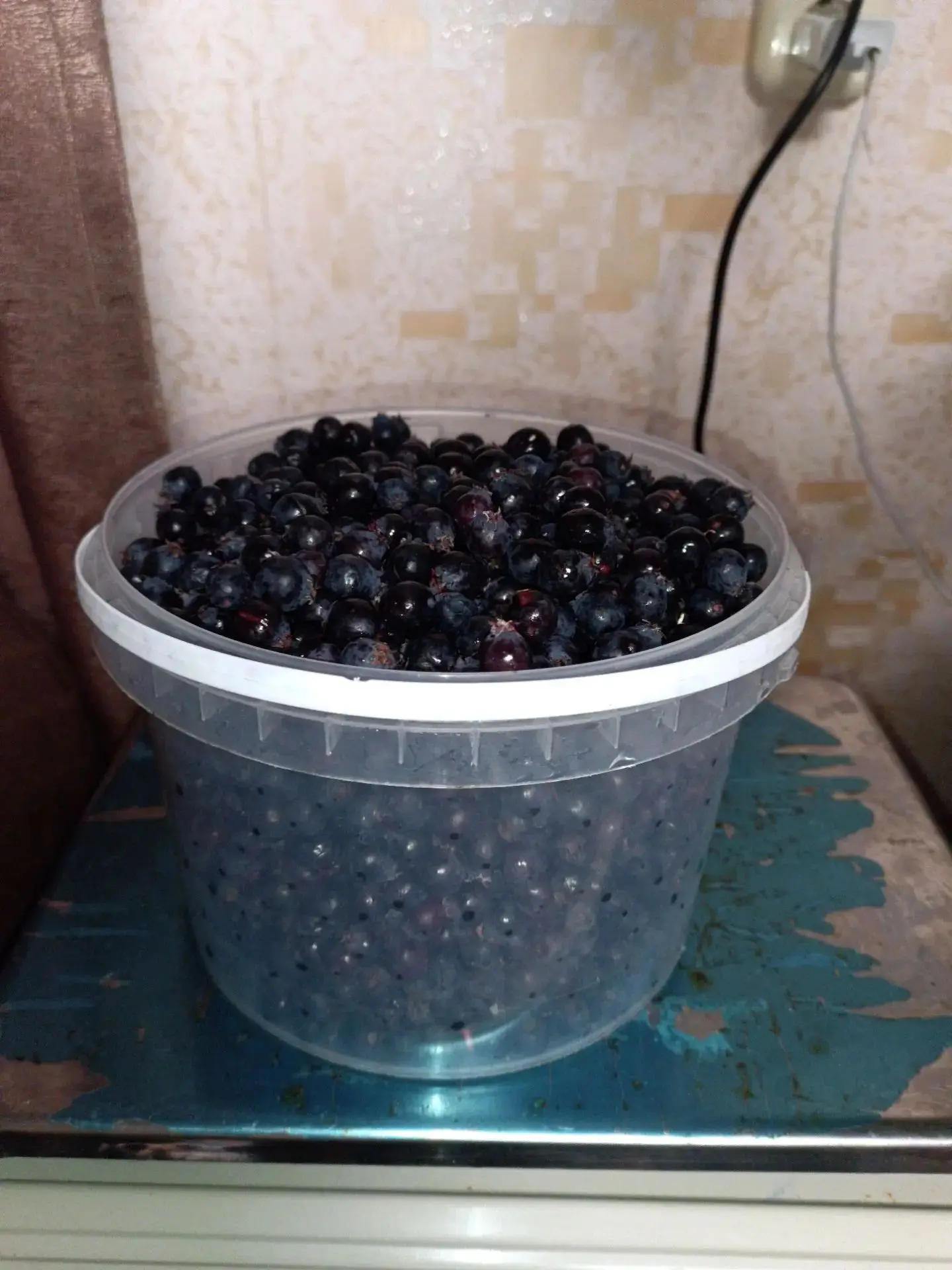 Свежая Ирга 250руб за кг