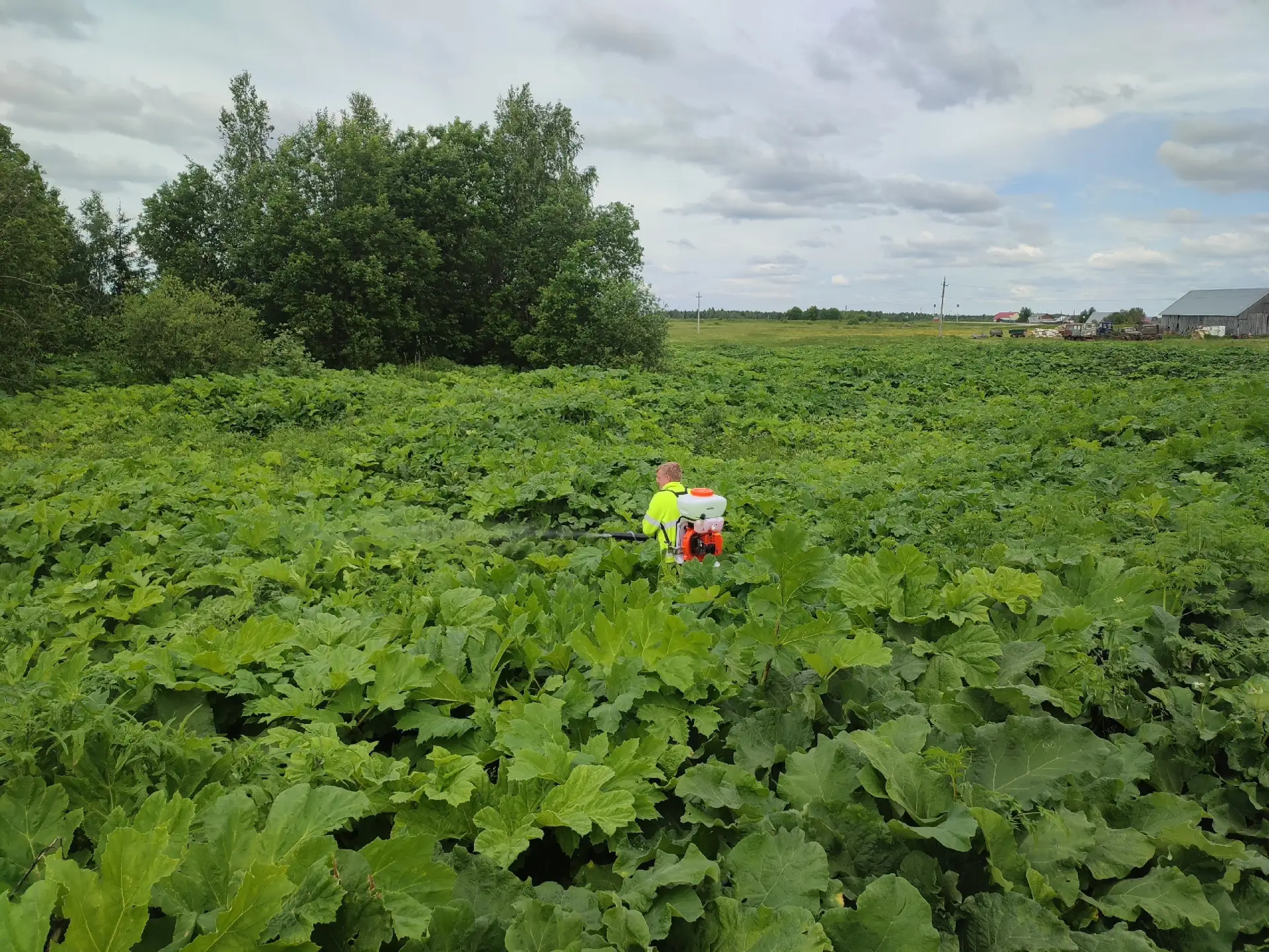 📅🌿14 июня на территории Гайнского муниципального округа завершена обработка химическим способом бо