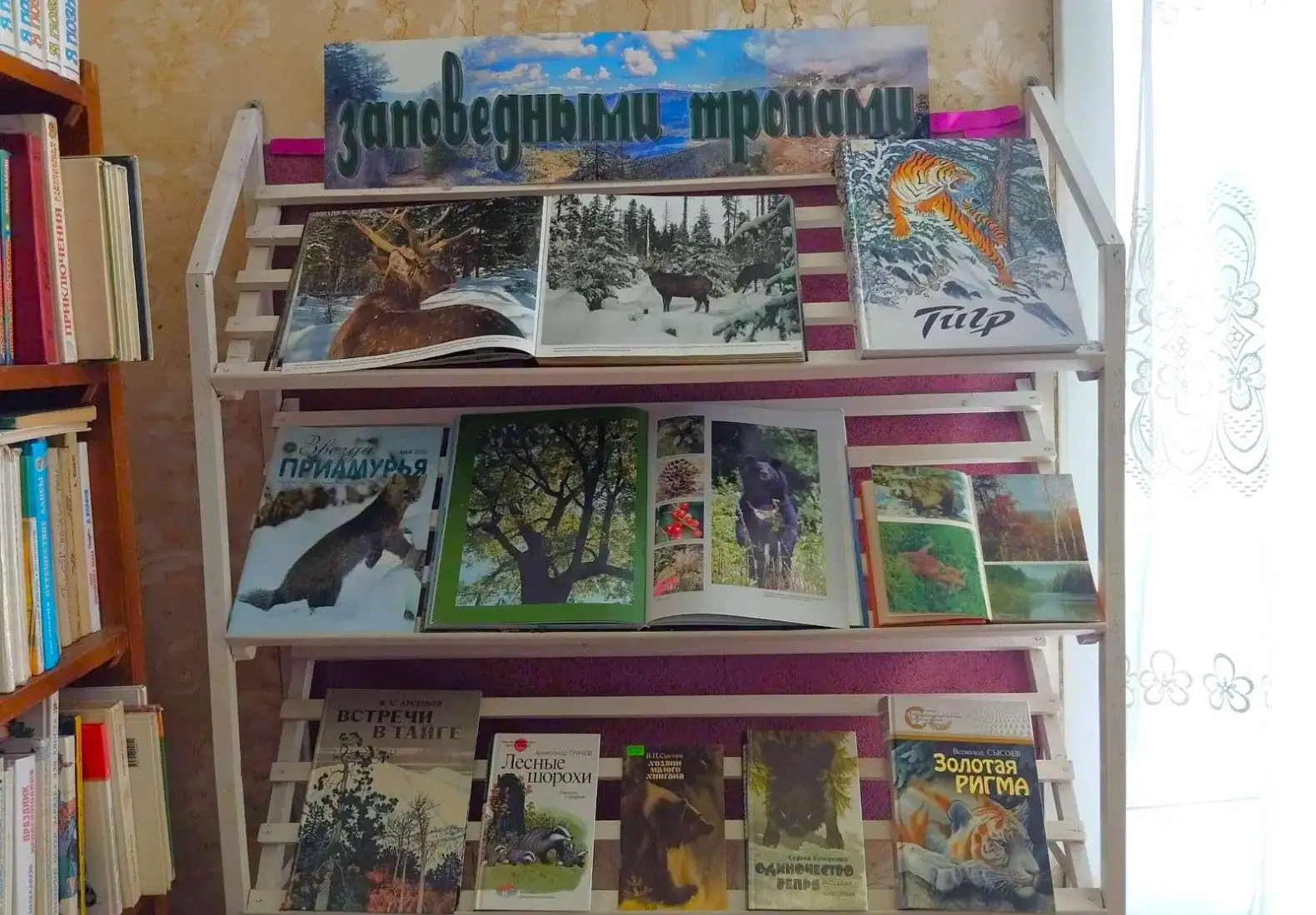 📚🌲«Природа — это великая и увлекательная книга. И удивительно: сколько ни читай её, трудно познать