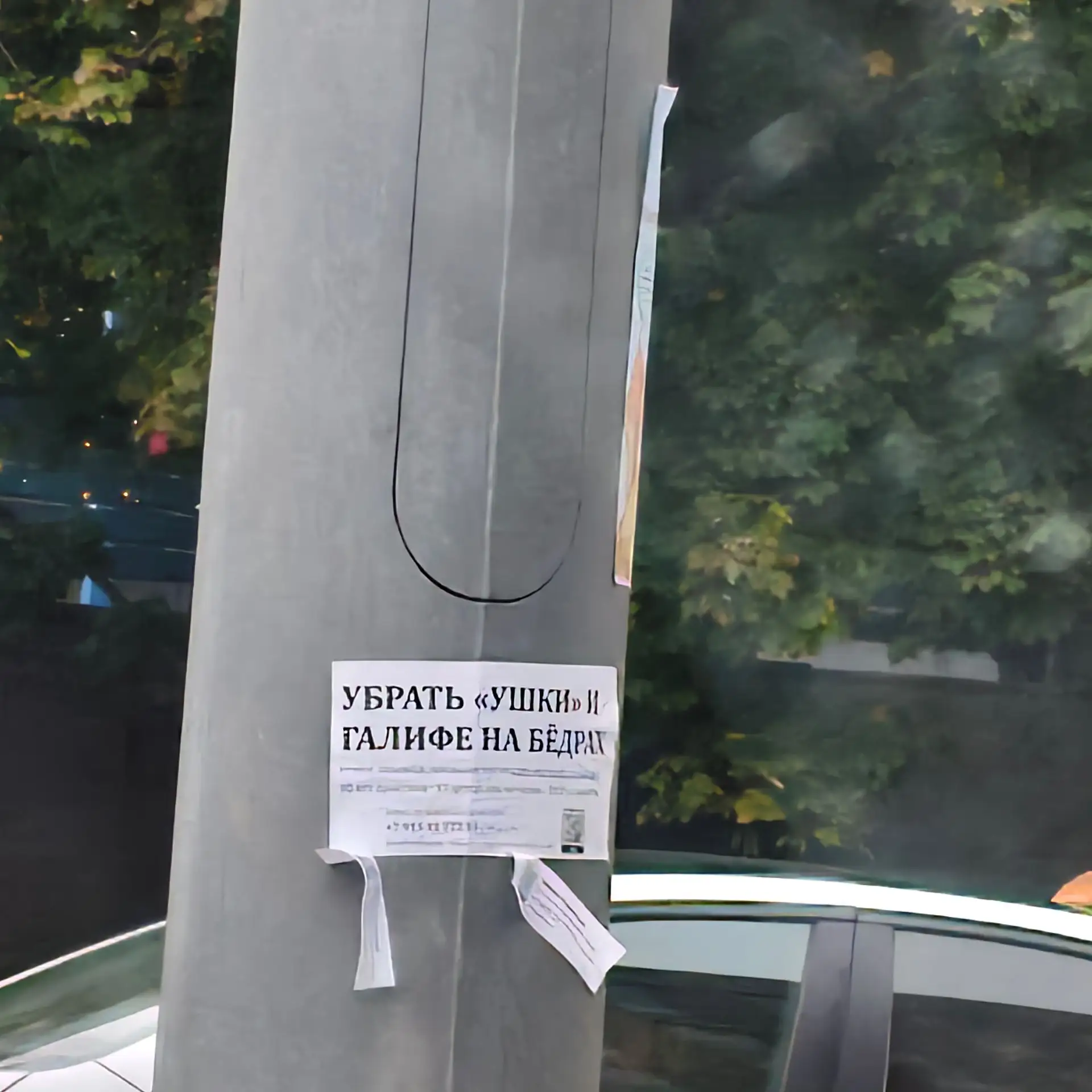 Девчонки, кому номерок взять? 🤣