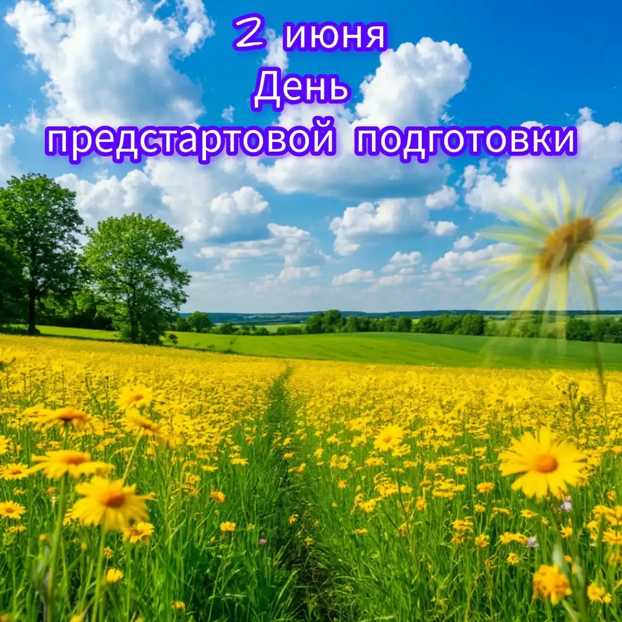 ПО ЗАКОНАМ ДРУЖБЫ И ВЕСЕЛЬЯ