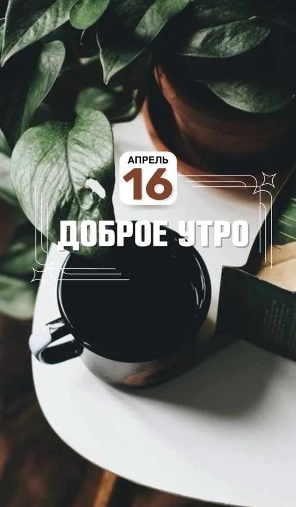 Счастье можно найти даже в самые темные времена, если обращаться к свету. ☀️