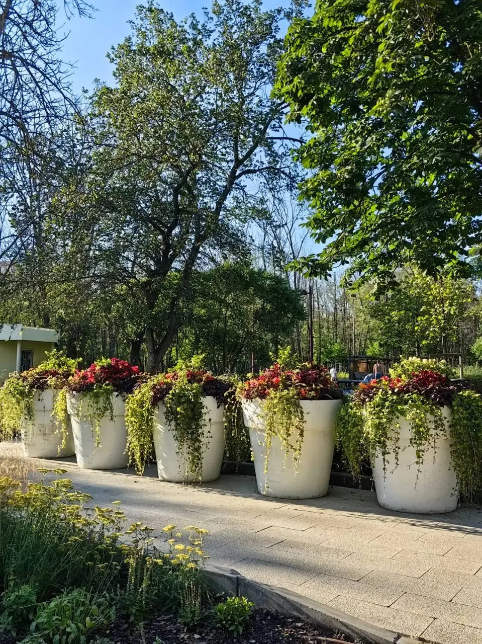 Очень летний парк Ленина глазами нашей подписчицы Ольги 📸

Ставьте ❤️, если тоже любите этот парк.
