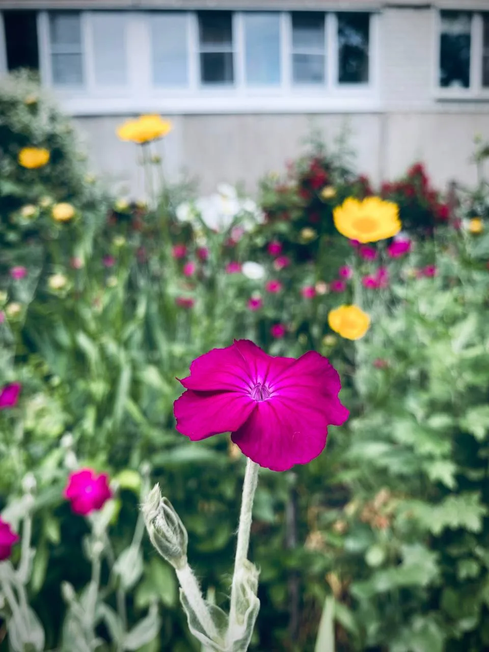 Дворы Курчатова ❤️