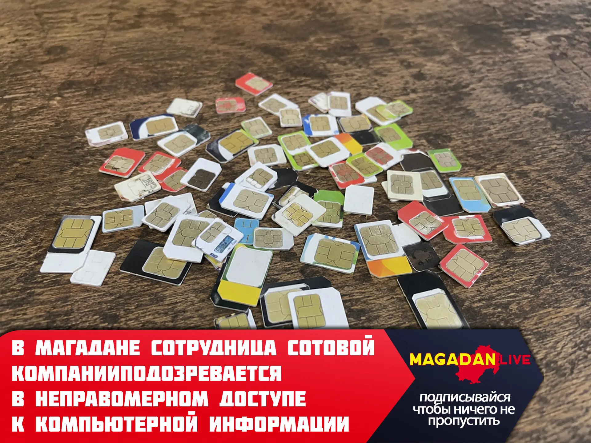 В Магадане возбуждено уголовное дело в отношении 24-летней местной жительницы — начальника офиса про