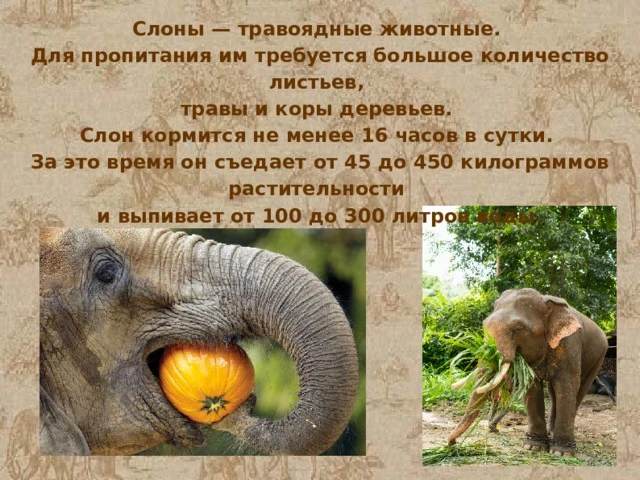 ✏️  Просто для информации!