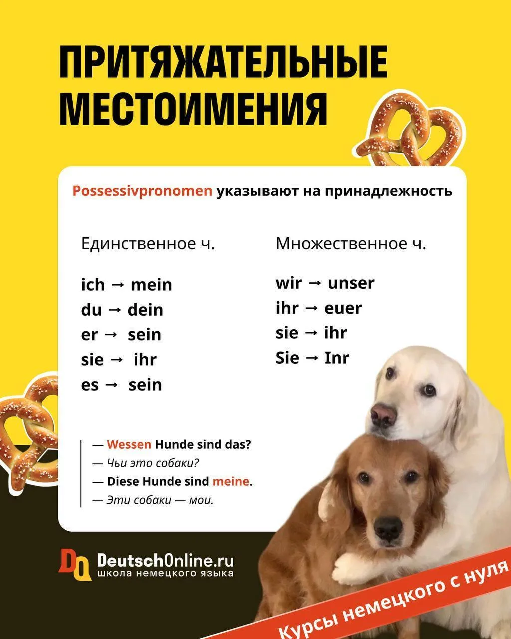 📌  ПРИТЯЖАТЕЛЬНЫЕ МЕСТОИМЕНИЯ  Притяжательные местоимения всегда стоят перед существительным, являют