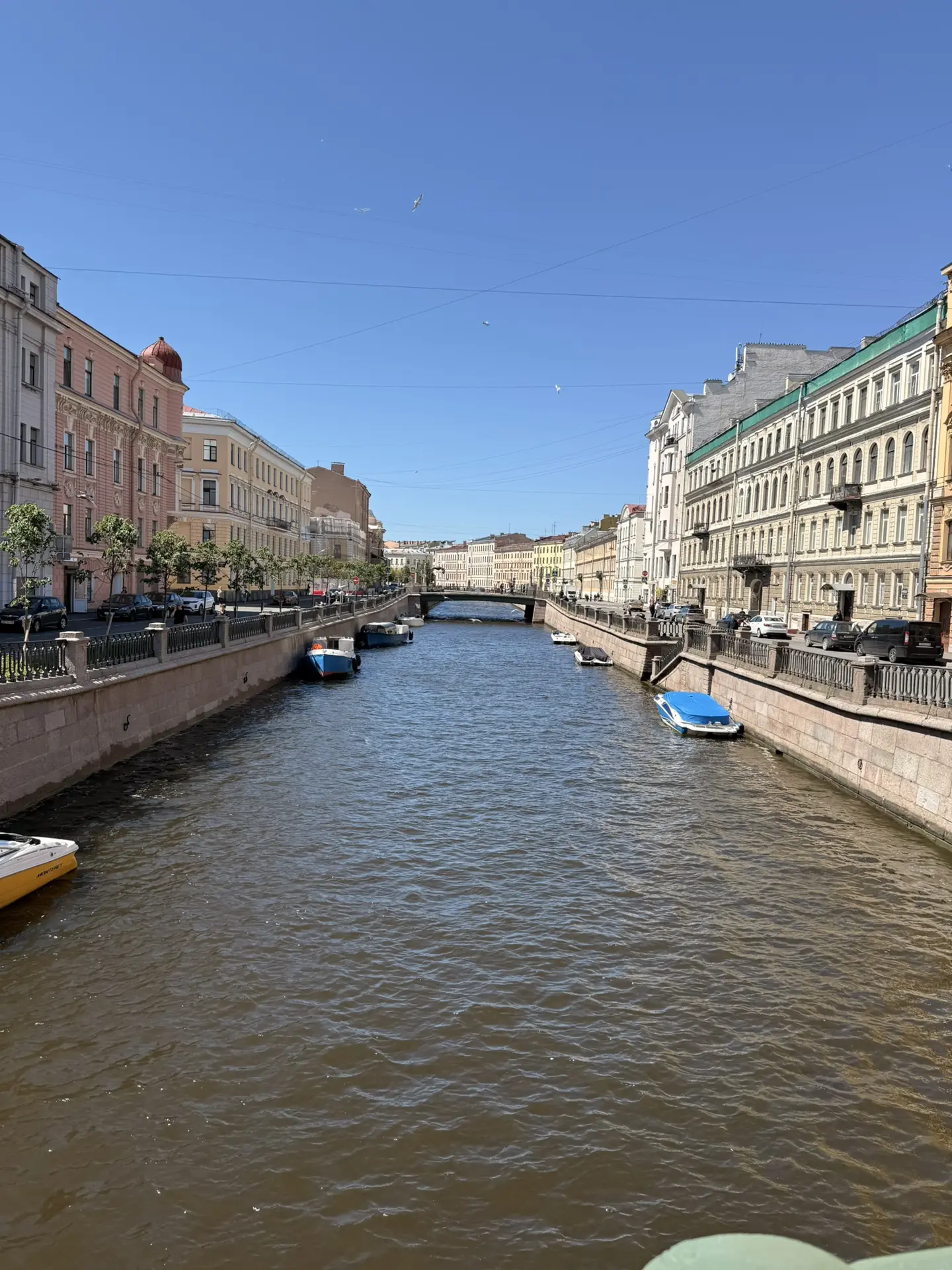 Немного Петербурга 😅