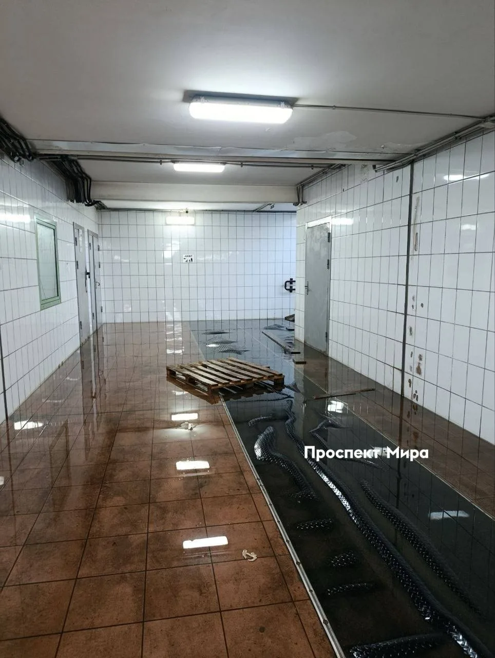 «Как здесь ходить? Положите хотя бы больше поддонов»