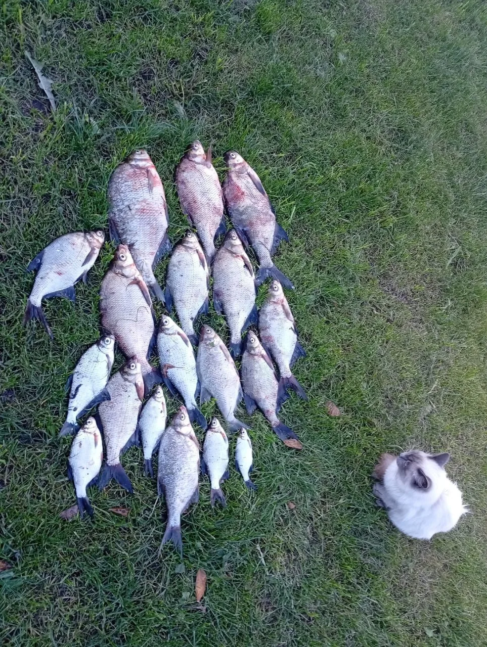 04.10.26