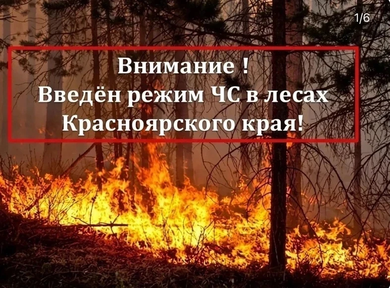 ‼️‼️‼️‼️🔥🔥🔥🔥🔥🔥🔥🔥🔥🔥В связи с высокой пожарной опасностью с 10 июня на территор...