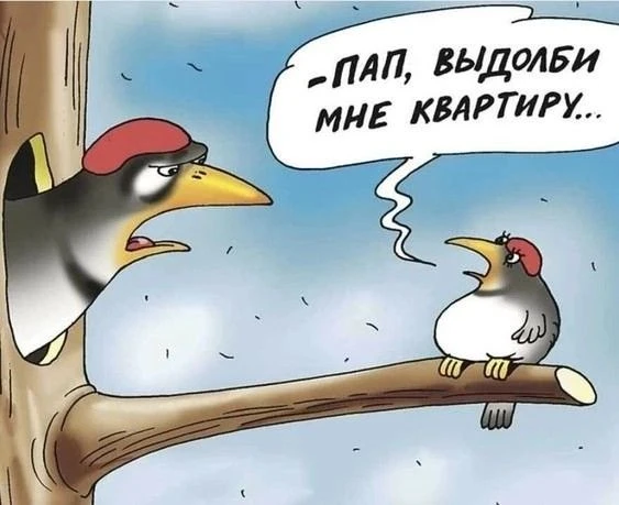 Карикатуры на грани