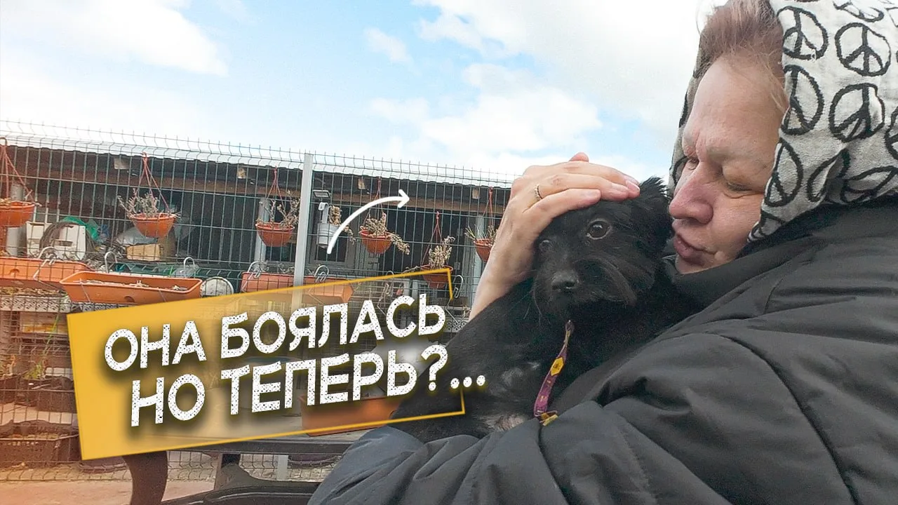 Алло-алло, пушистые фанаты!
🐾 У нас тут видео-новость, как горячий носик:
🎥 VK подогрел для вас вч
