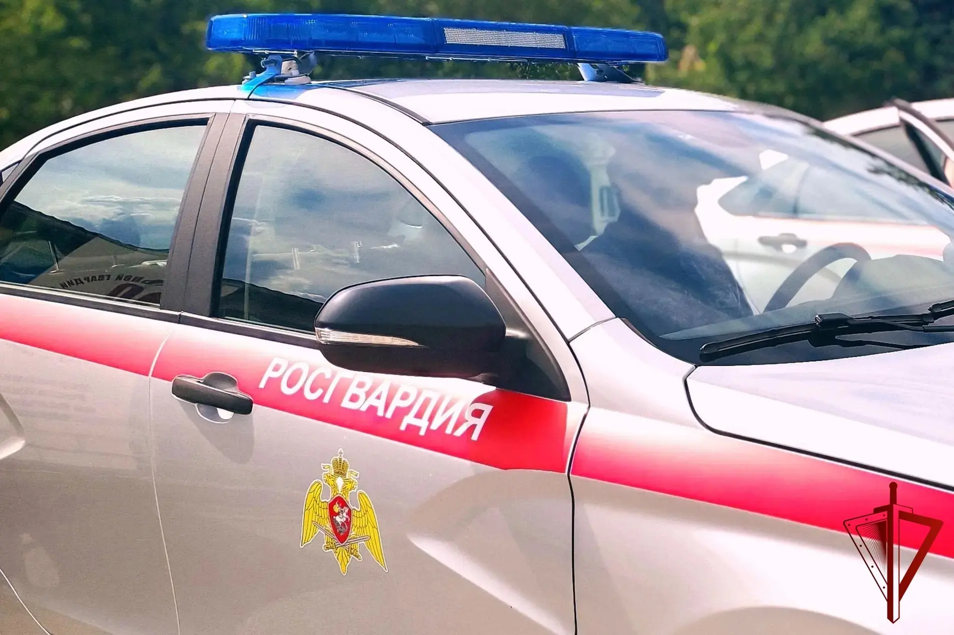 ❗Росгвардейцы пресекли 40 нарушений за неделю в Калужской области 

За минувшую неделю, с 27 июля по