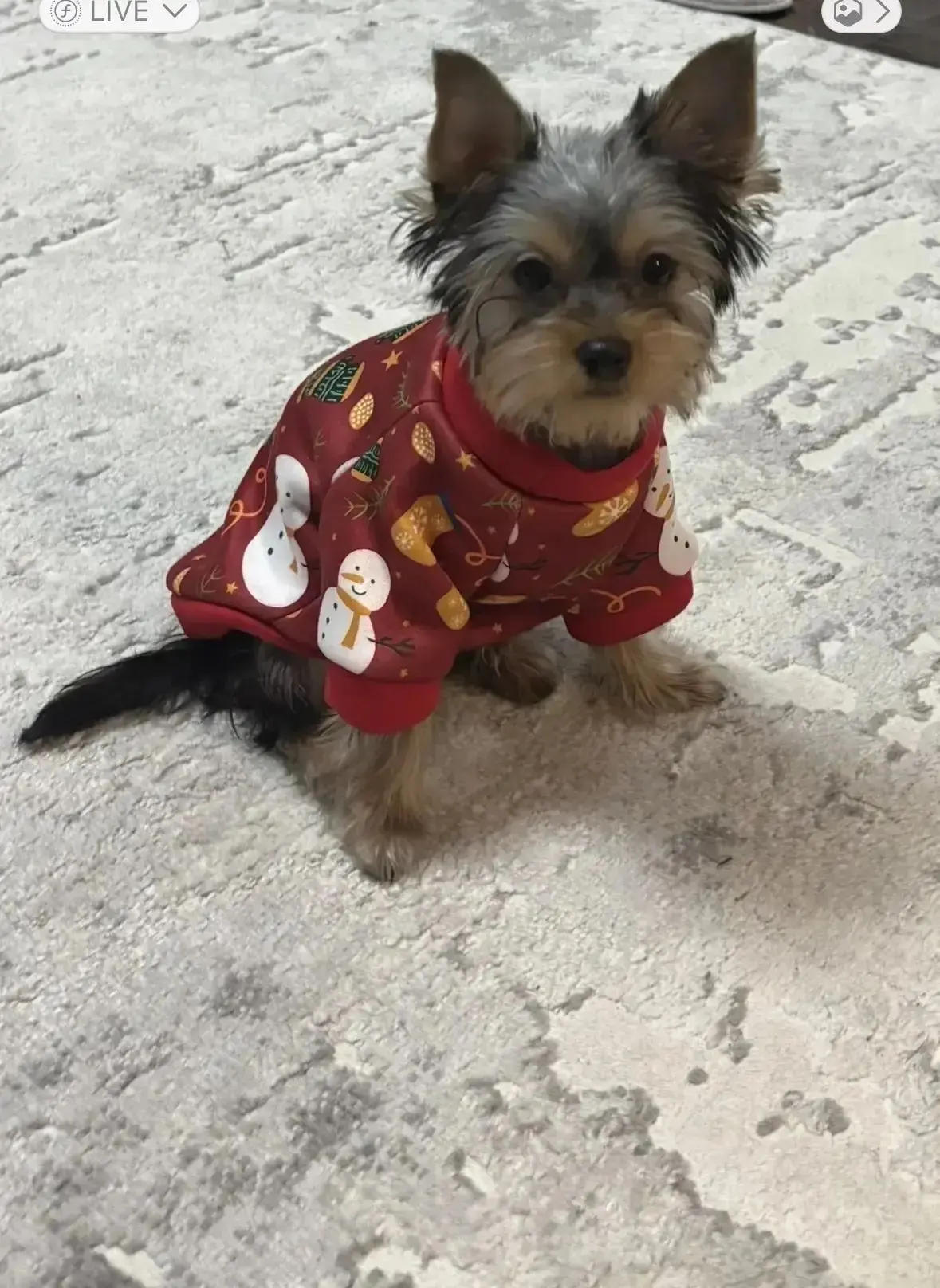 🐾 Внимание, онлайн-акция! Фотомарафон «Лапы, уши и хвосты» 🐶🐱