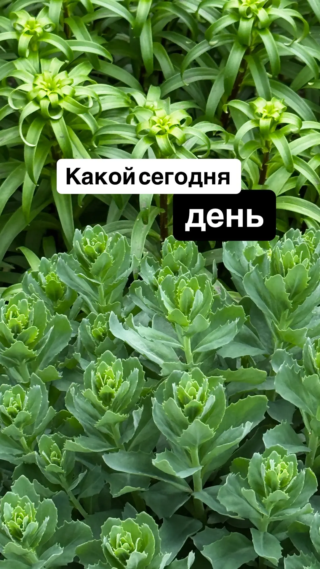 С собой - только суть.