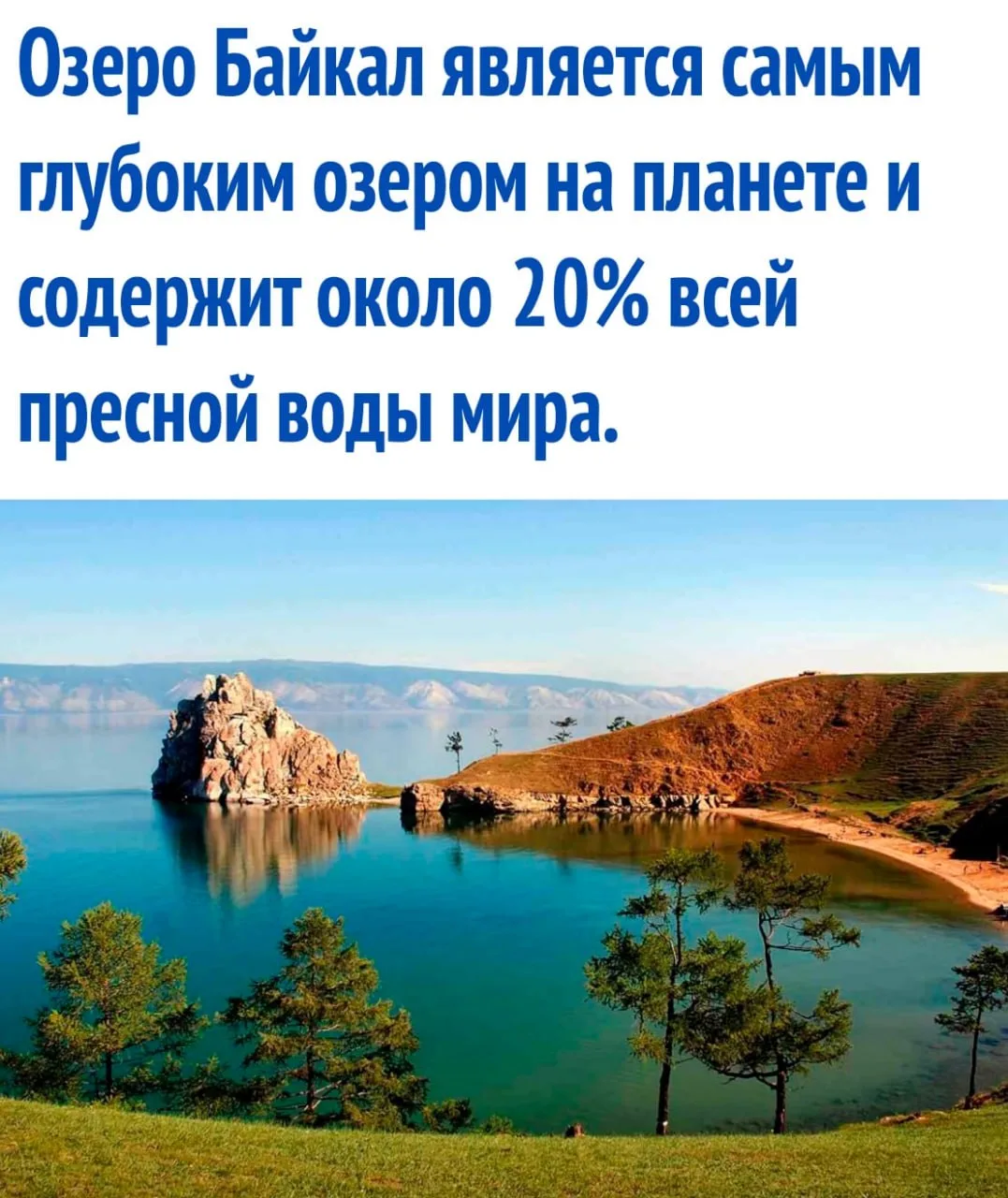 интересные факты / тайны / загадки / наука