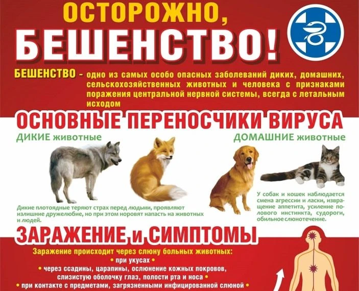 Дорогие жители!