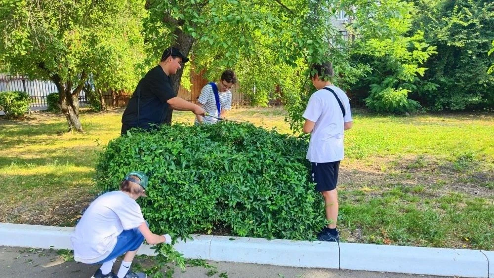 💪 Когда команда берётся за дело — результат всегда на высоте! 

На летней практике наши учащиеся сн