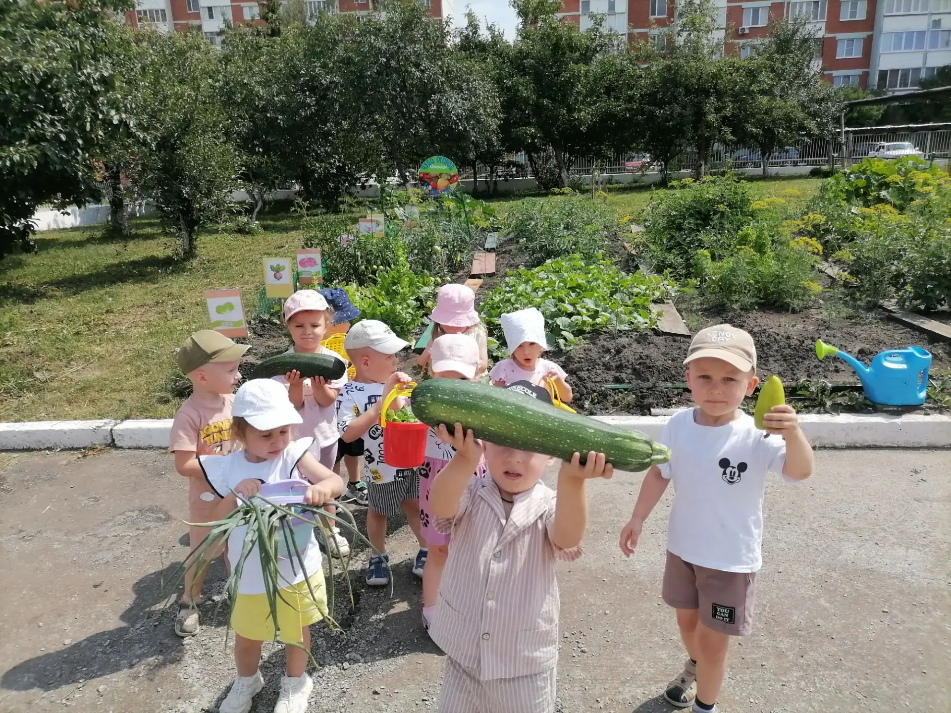 #детскийсад3каменка💯#огородвдетскомсаду
Это что за огород?
Посмотрите, что растет!
Лук, петрушка, к