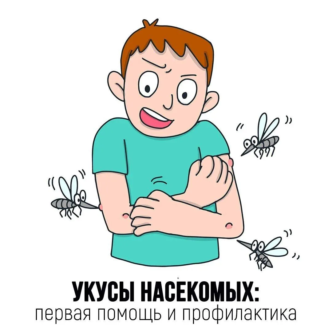 Укусы насекомых: первая помощь и профилактика
🦟 Клещи, осы, пчёлы, комары — летние соседи. Что дела