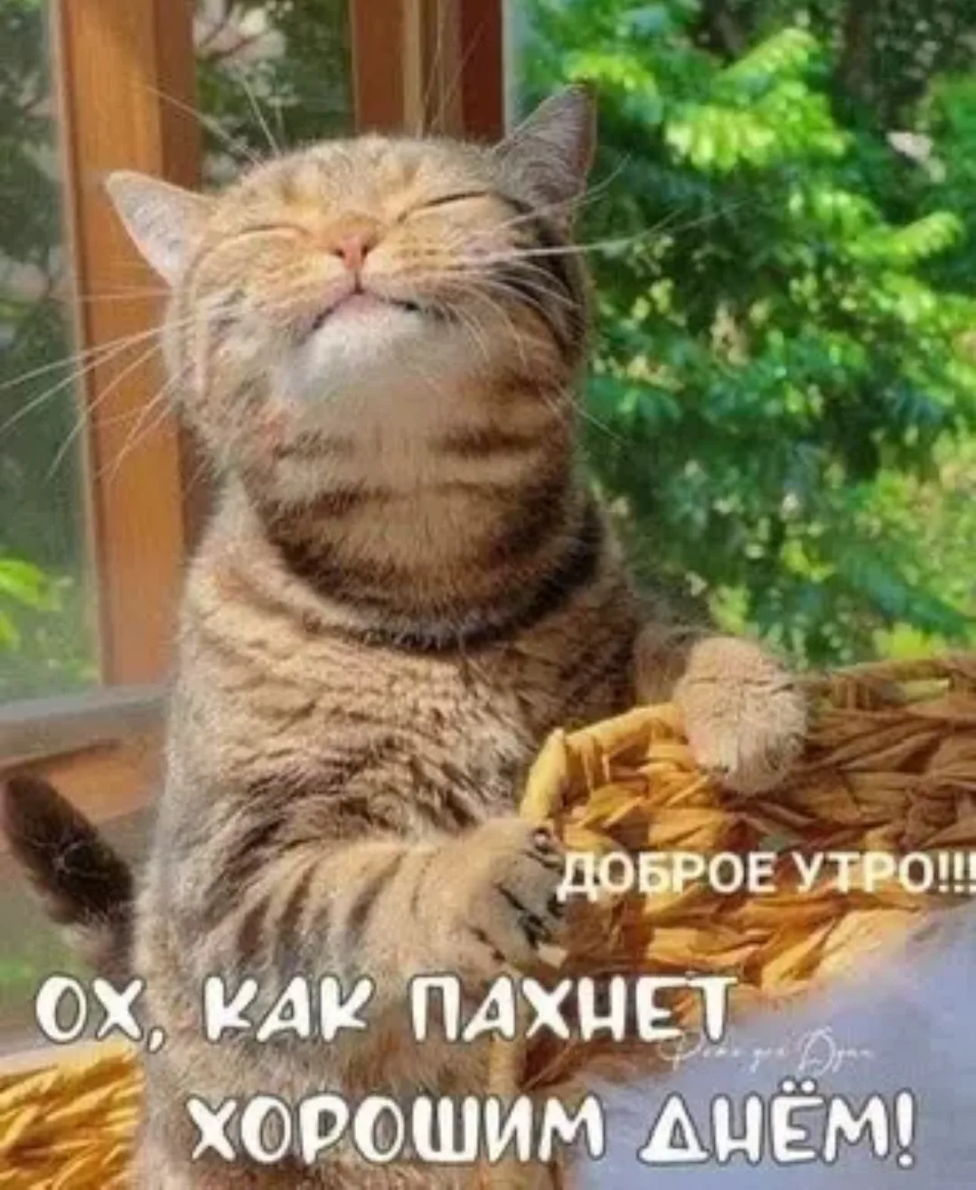 Добрый день, друзья❤️! 

Послание дня ✨
✨✨✨✨✨✨✨✨✨✨✨✨✨✨✨✨✨✨✨✨
ЛЕТО - ПОВОД ВЫЙТИ ИЗ РИТМА СОБСТВЕННОЙ