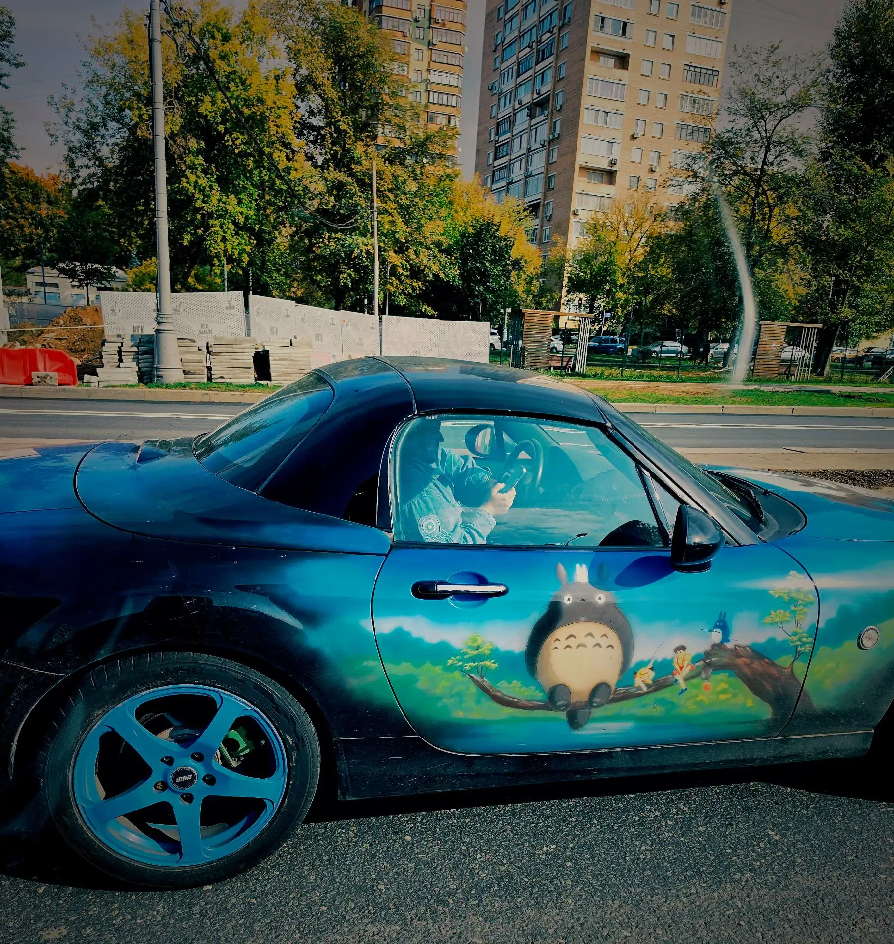 Мой сосед по потоку - Тоторо ㊗️