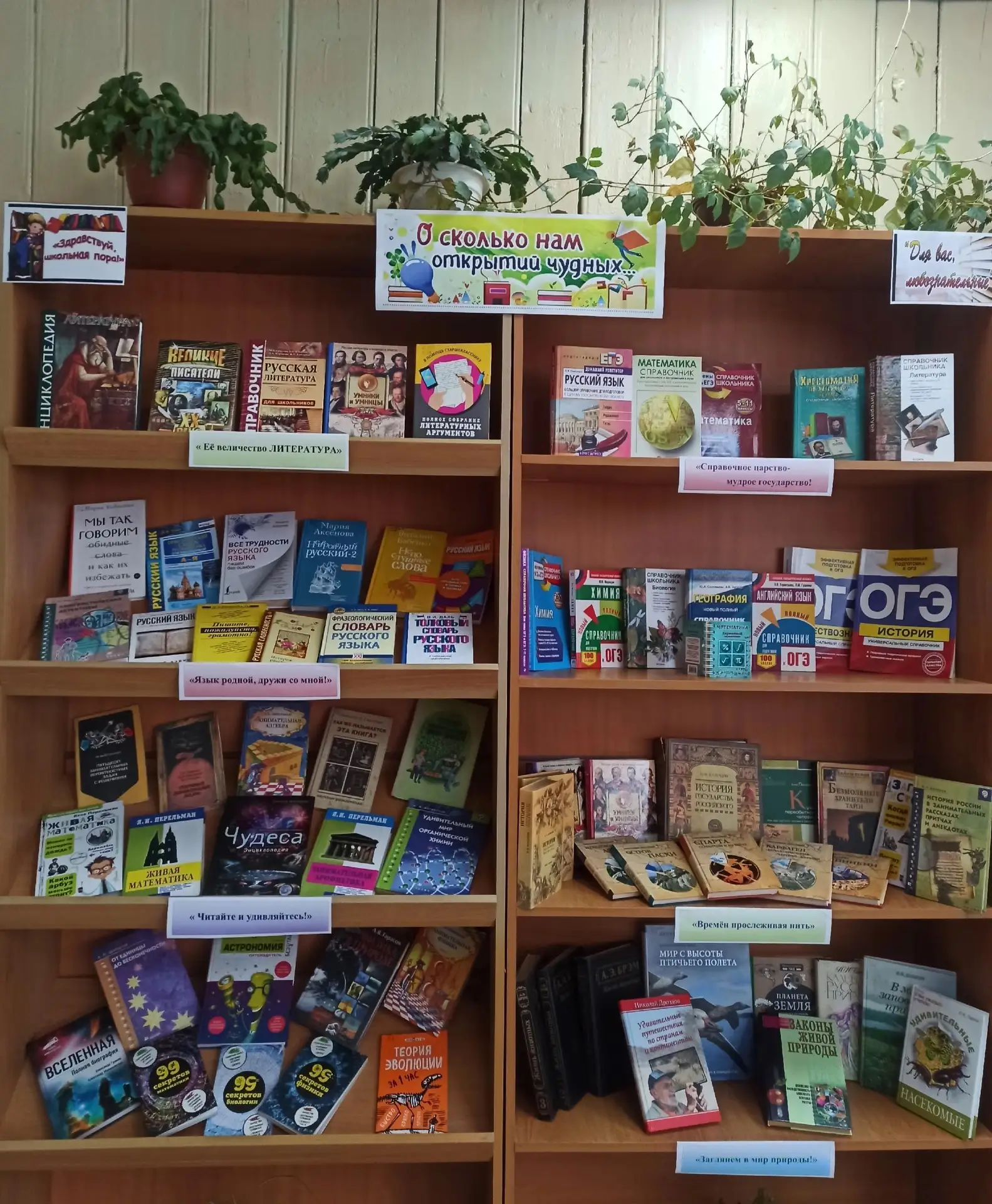 🍁🍂Школьная пора: учимся, читаем, не скучаем!📚