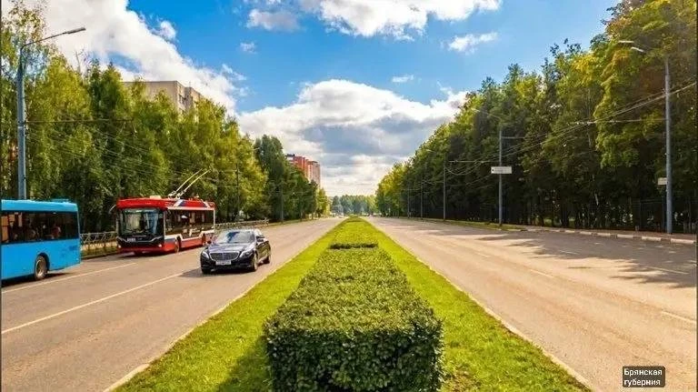 🌳«Живую изгородь» предложили высадить брянцы на Станке Димитрова