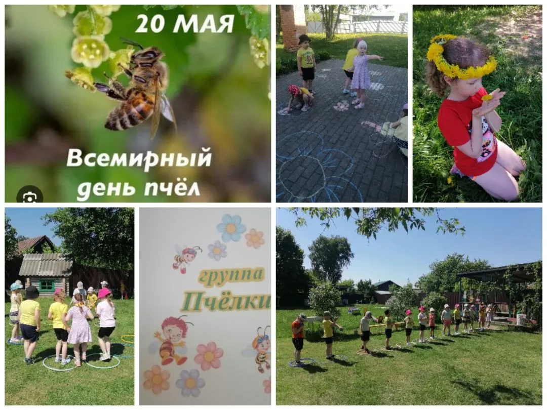 🐝 20 мая — Всемирный День пчёл!