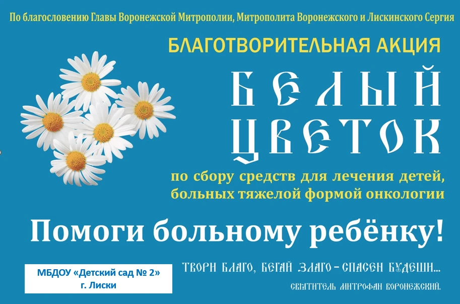 🟠Участие нашего детского сада в акции «Белый цветок»: план мероприятий