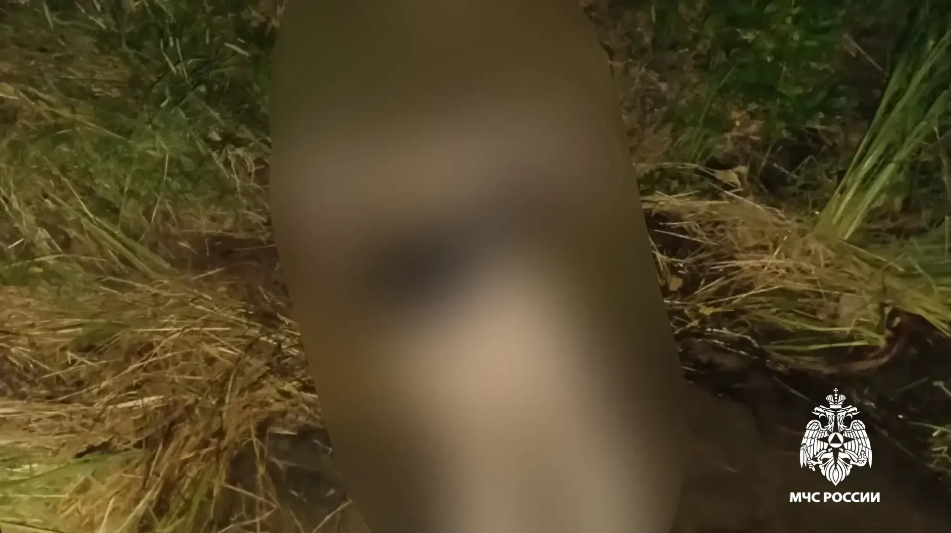 В Калязинском округе в реке Нерл утонула женина
