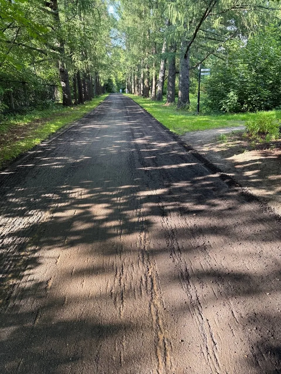 🌳 В Дендропарке Бирюлево идет реконструкция - меняют асфальтовое покрытие и обновляют ...
