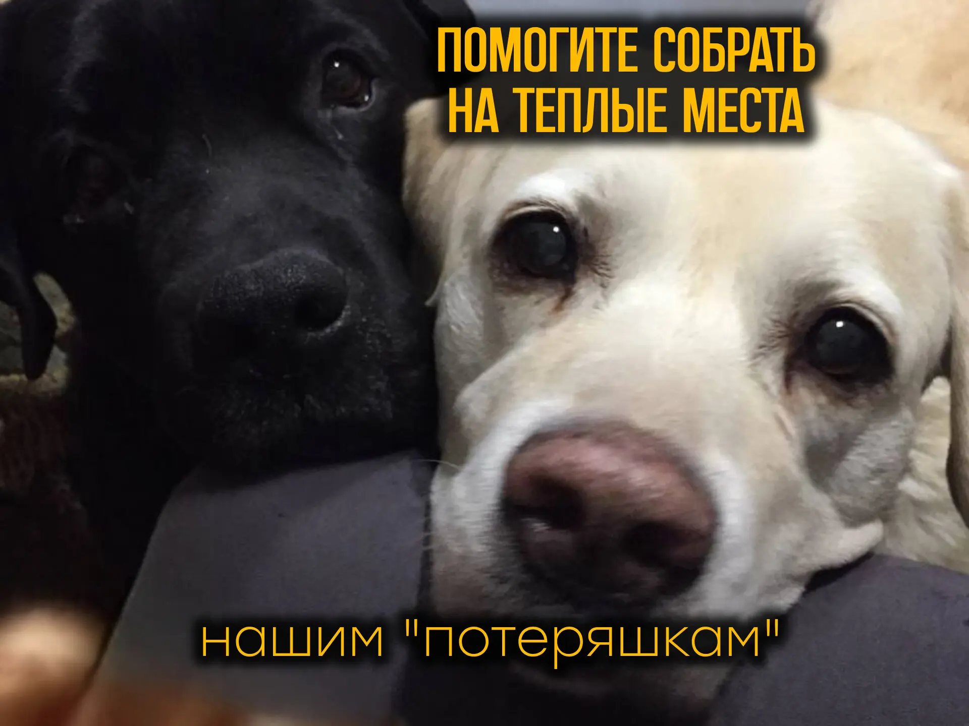 Помогите пожалуйста выкупить бытовку! Осталось меньше недели( Очень боимся не успеть до зимы! 

3 ме