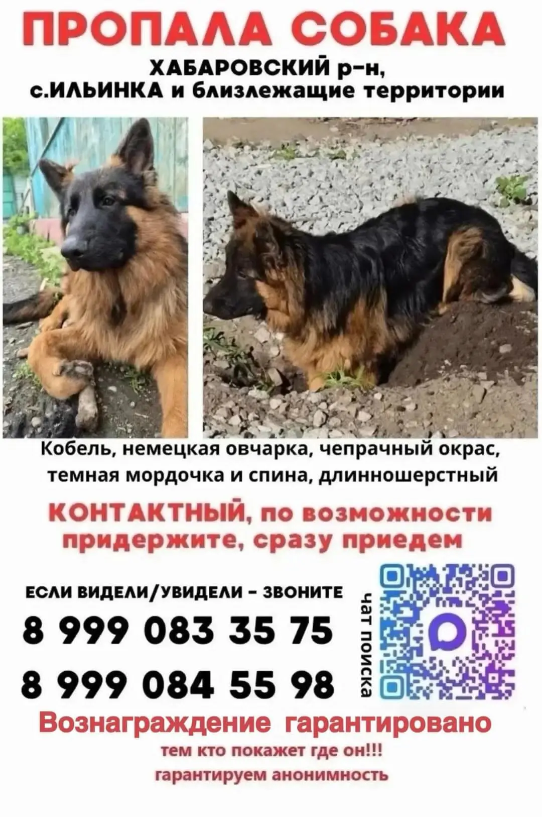 #moygorod_khvстолнаходок