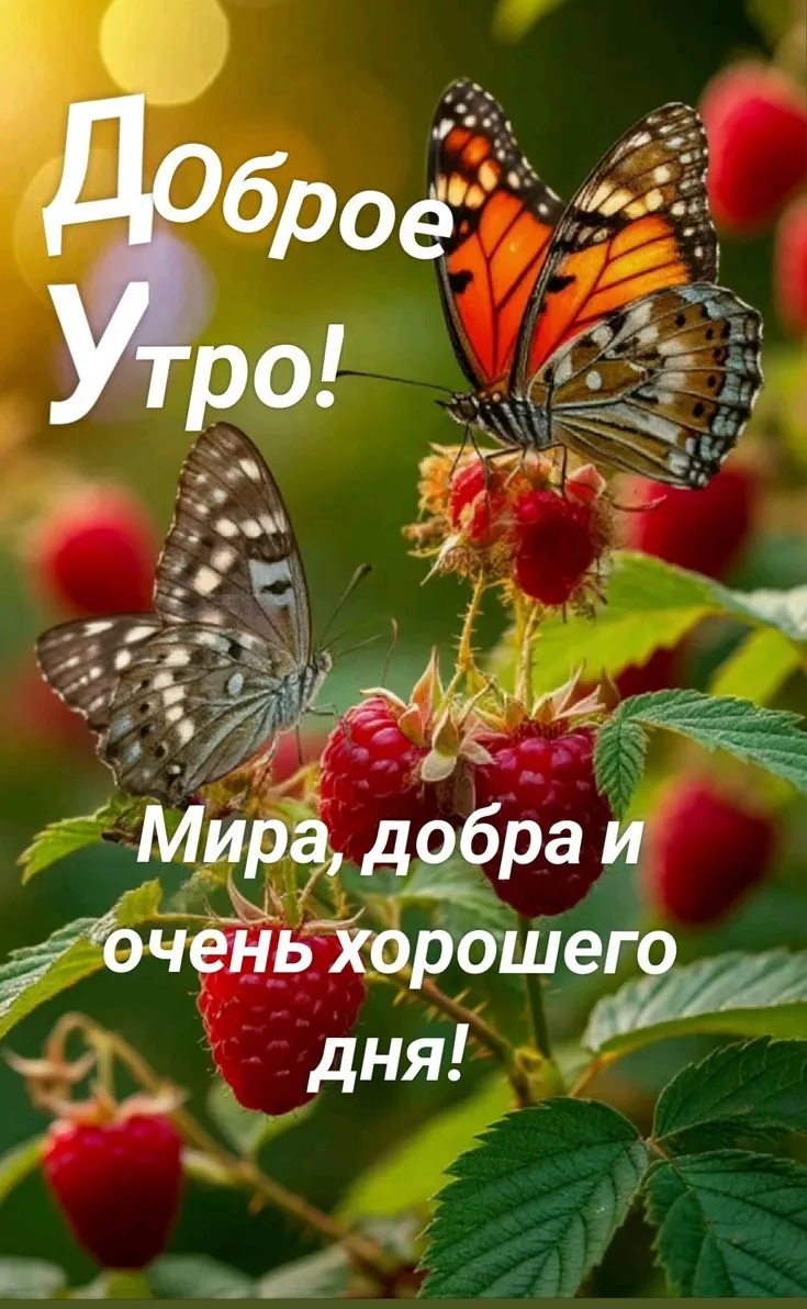 С добрым утром, Сиверский!