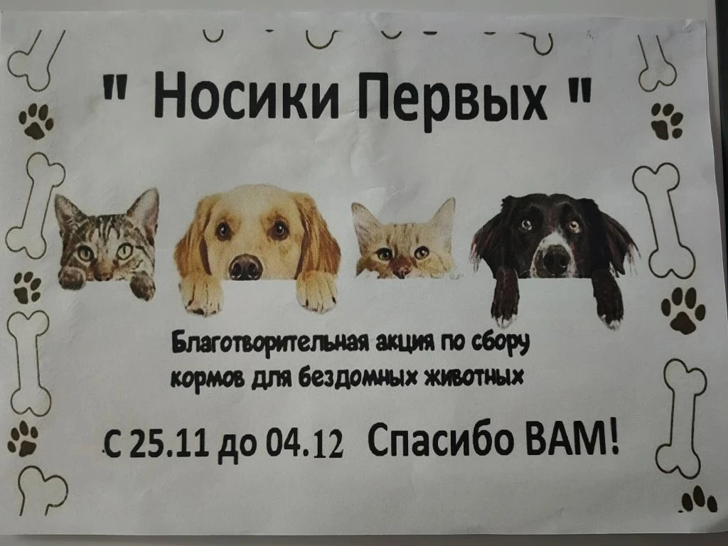 «Носики первых » — добровольческая акция нашего сада, проведённая совместно с "Движением первых"!

Д