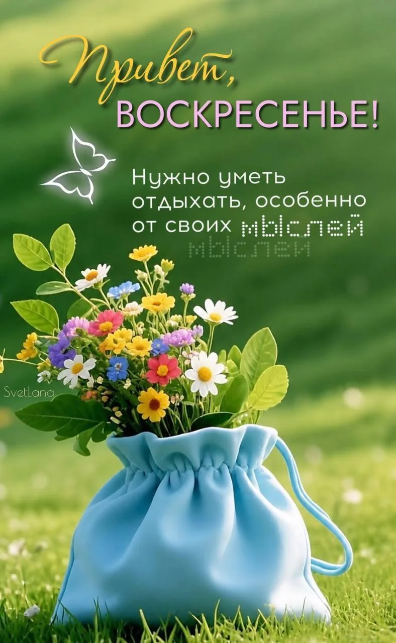 ОТКРЫТКИ