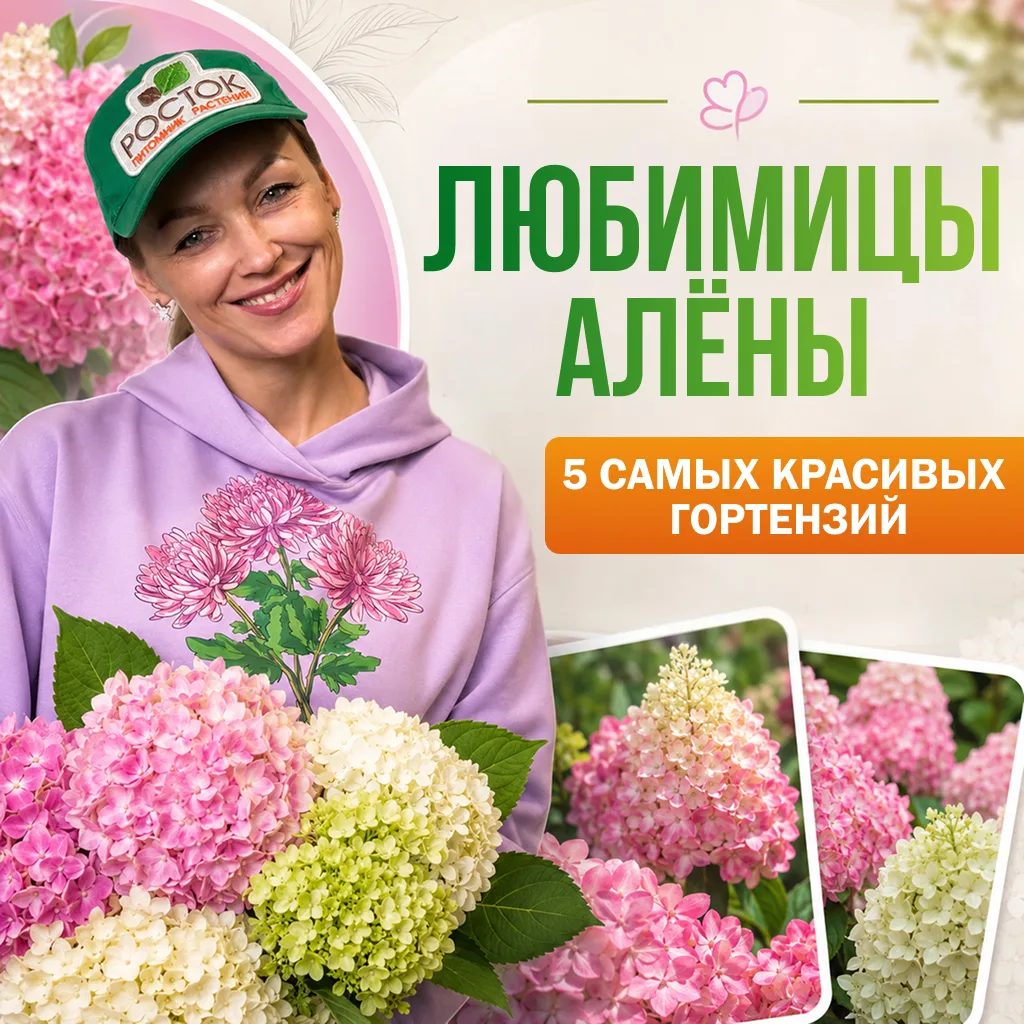 МОЙ ЛИЧНЫЙ СПИСОК: 5 ГОРТЕНЗИЙ, КОТОРЫЕ ХОЧЕТСЯ ПОСАДИТЬ СРАЗУ 😍