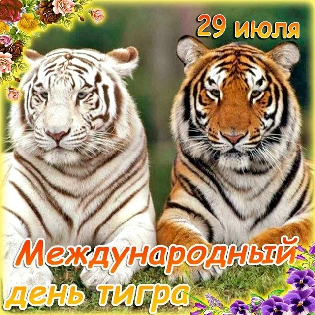 🐅 Международный день тигра: когда полоски становятся символом надежды

Сегодня, 29 июля, весь мир о