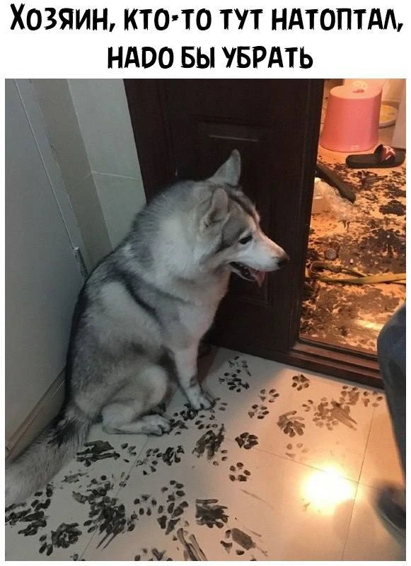 Три Подружки