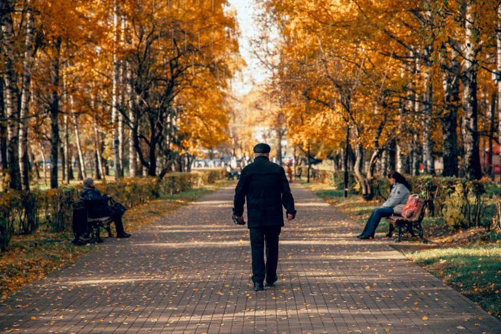 В центре Фобос рассказали, что ренессанс бабьего лета в Тверской области устроил антици...