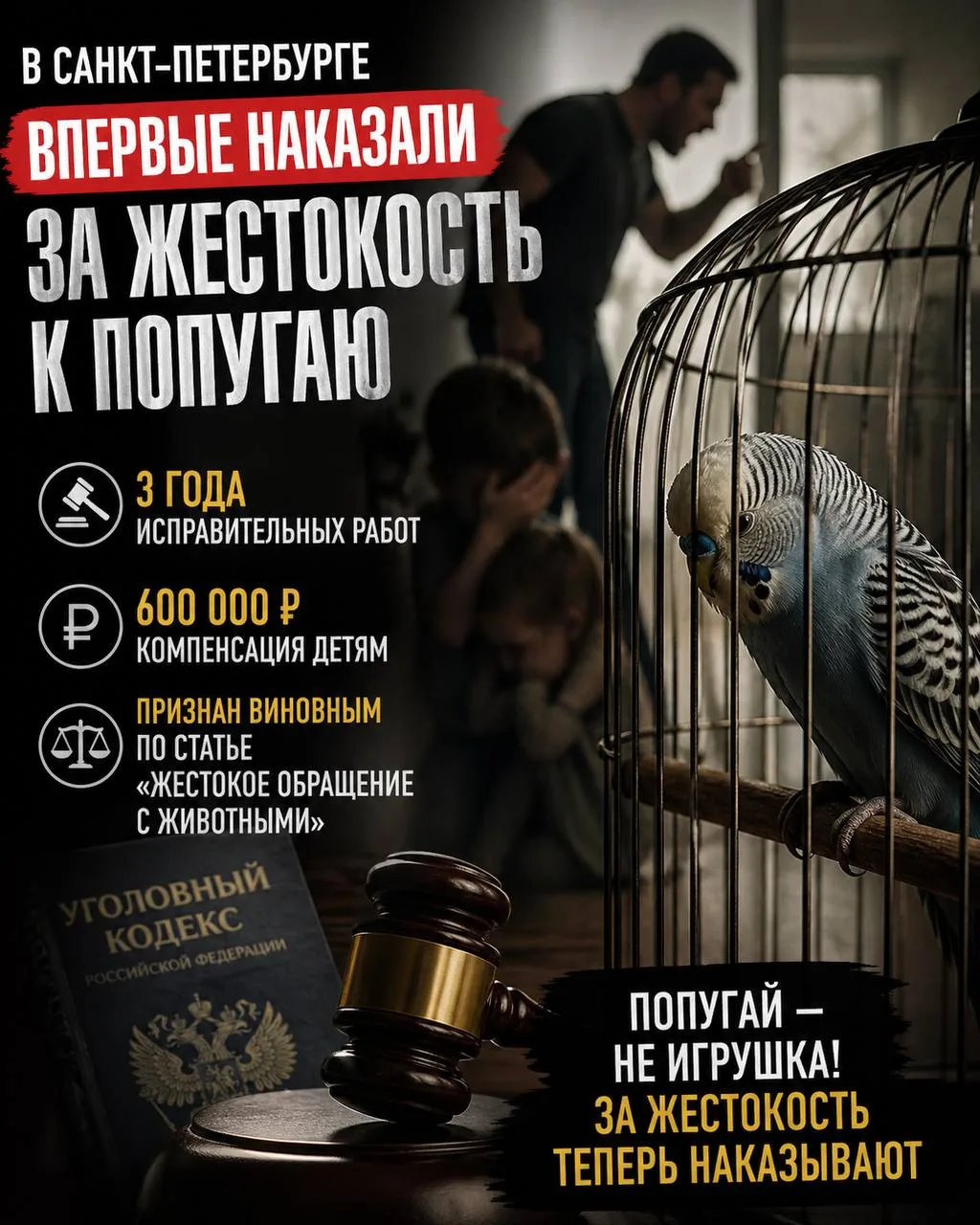 В Санкт-Петербурге впервые дали реальное наказание за жестокость к попугаю